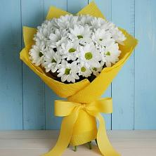 Букет цветов из:  Хризантемы в Винодельненском