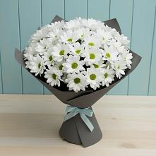 Букет цветов из:  Хризантемы #REPLACE_PRED# Винодельненском